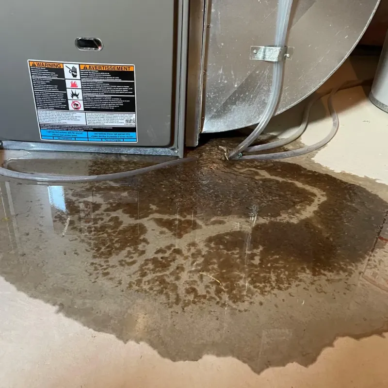 Appliance Leak Cleanup in Cle Elum, WA